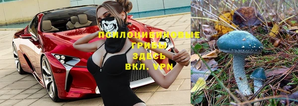 Альфа ПВП Алзамай