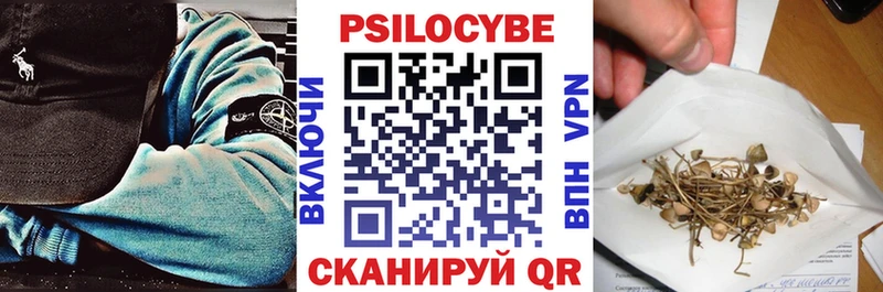 Псилоцибиновые грибы мицелий  shop какой сайт  Строитель  даркнет сайт 